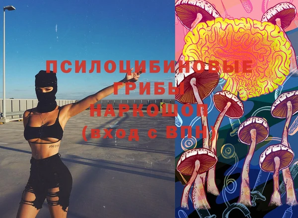 твердый Осташков