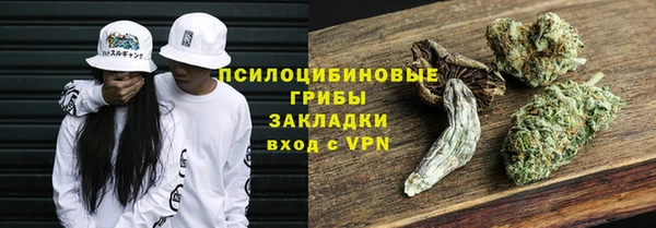 твердый Осташков