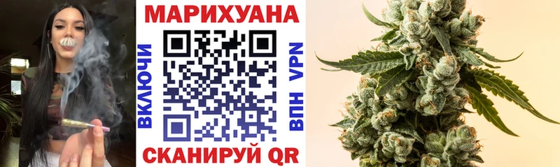 Купить где  Елизаветинская  Конопля Amnesia 